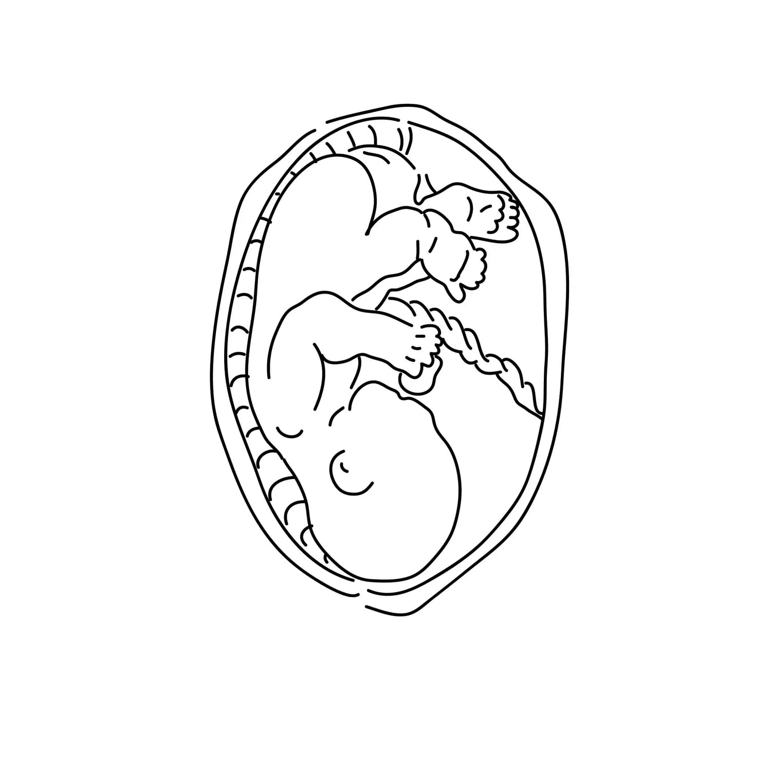 Illustration of baby in a womb